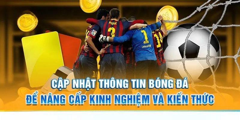 Các kiến thức cơ bản cần nắm khi tham gia cá cược